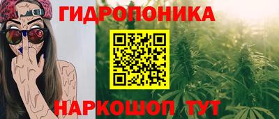 дурь Дубна