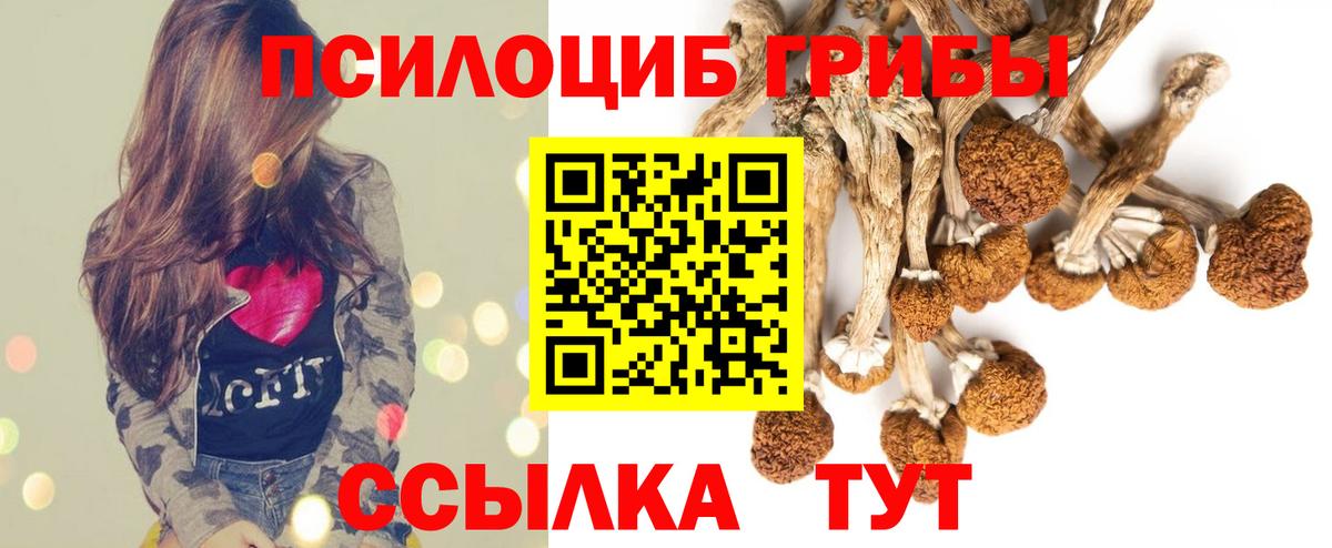 Галлюциногенные грибы MAGIC MUSHROOMS  Галлюциногенные грибы GOLDEN TEACHER  Канск  Вход с VPN 