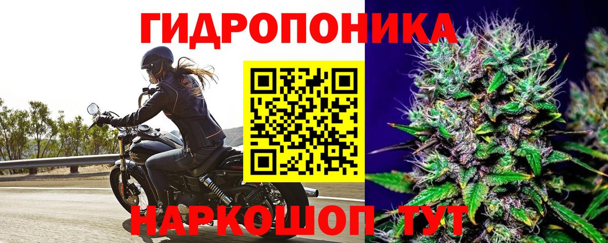 Конопля индика Канск